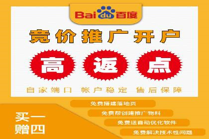 百度竞价策略解析：案例分析及优化建议